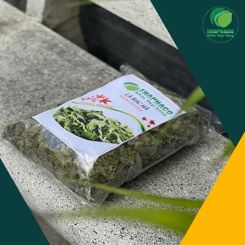 Công dụng hỗ trợ sức khỏe của bạc hà khô