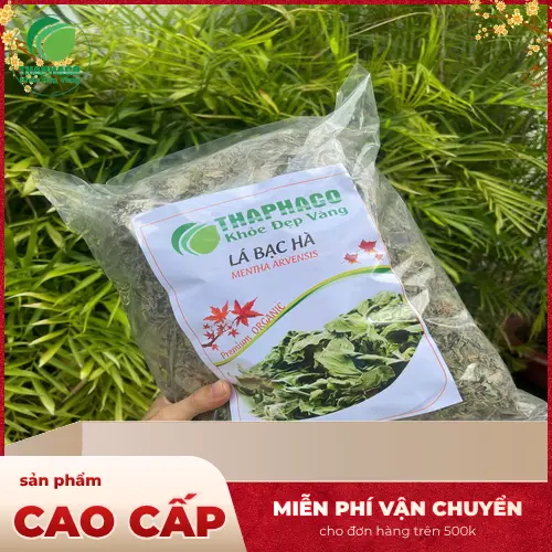 Công dụng đa dạng của lá bạc hà khô