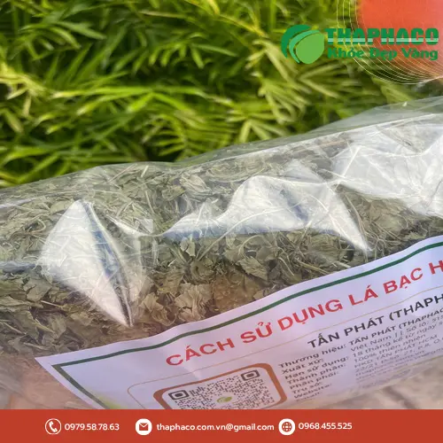 So sánh lá bạc hà khô và tinh dầu bạc hà