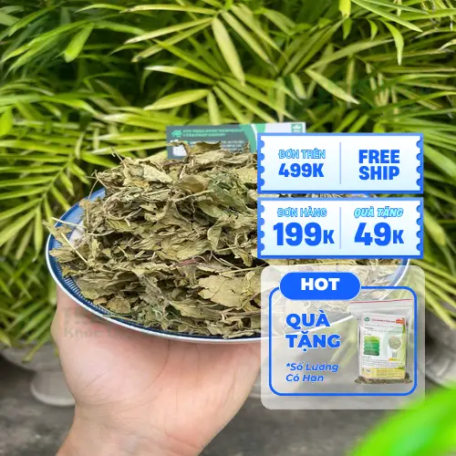 Quy trình sấy khô lá bạc hà của THAPHACO