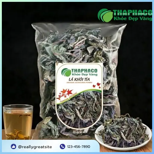 Lá Khôi Tía Khô có tác dụng gì và những lợi ích của thảo dược này
