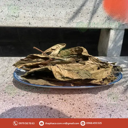 Hình ảnh Lá Khôi Tía khô và cốc nước pha