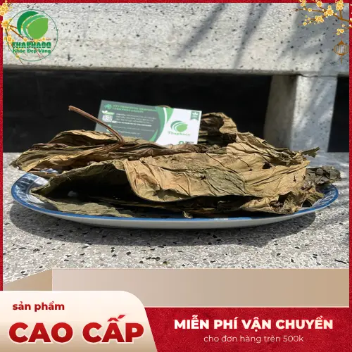 Cách bảo quản Lá Khôi Tía sấy khô để giữ được chất lượng