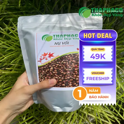Nụ vối tươi và khô, thể hiện sự tự nhiên của dược liệu