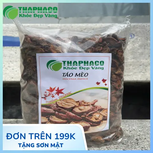 Sơn Tra (Táo Mèo) - dược liệu quý trong Y học cổ truyền