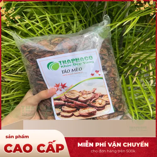 Công dụng tiêu thực, kiện vị của Sơn Tra