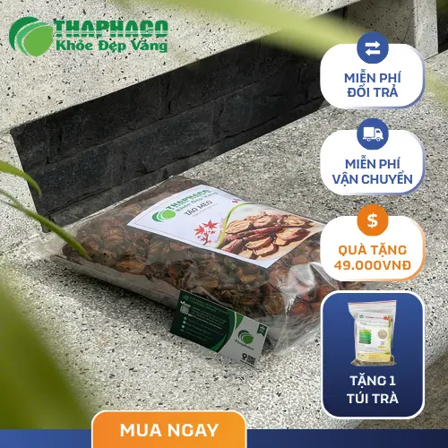 Hình ảnh táo mèo bị mốc, hỏng
