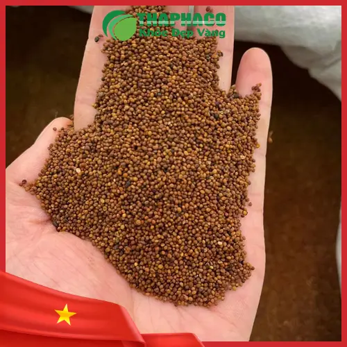 Phụ nữ mang thai cần thận trọng khi dùng Thỏ Ty Tử