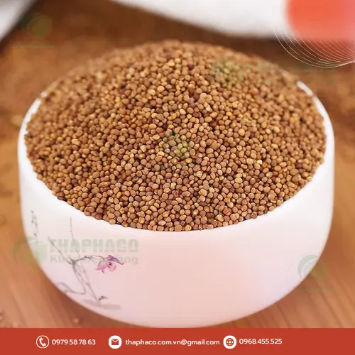 Tham khảo ý kiến chuyên gia trước khi dùng Thỏ Ty Tử để đảm bảo an toàn