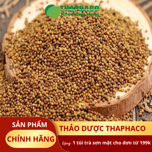 Cách dùng Thỏ Ty Tử sấy khô an toàn