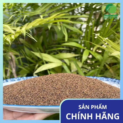 Chuyên gia khuyên nên dùng Thỏ Ty Tử đúng cách