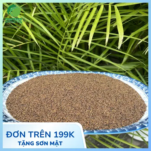 Địa chỉ mua Thỏ Ty Tử uy tín tại TP.HCM