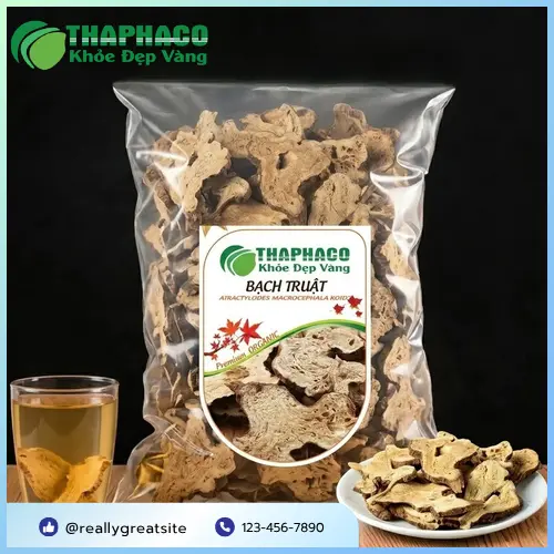 Hình ảnh thân rễ Bạch Truật khô đã được sơ chế