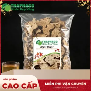 Địa Chỉ Bán Bạch Truật Khô Tại TP.HCM Chất Lượng, Uy Tín