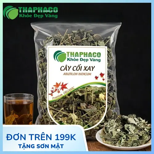 Hình ảnh cây cối xay với lá xanh và hoa vàng đặc trưng