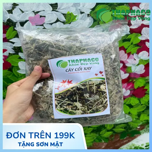 Trà từ cây cối xay khô có thể hỗ trợ thanh nhiệt và lợi tiểu.