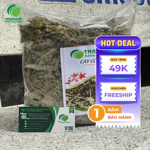 Các bước hãm trà cây cối xay khô