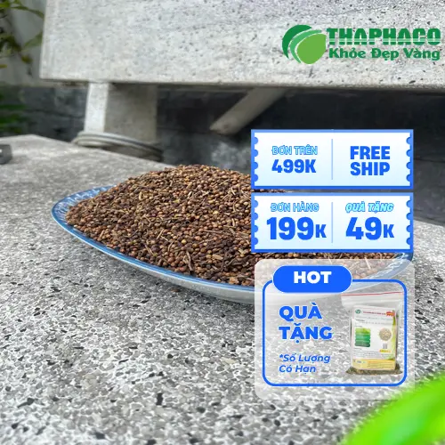 Lợi ích hỗ trợ sức khỏe của Nụ Vối