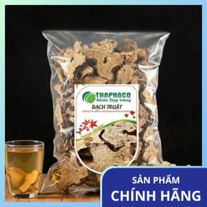 Mua Bạch Truật Khô Giá Tốt Tại TP.HCM - Chất Lượng Loại 1
