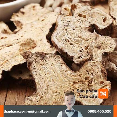 Kiểm tra chất lượng bạch truật khô trước khi giao đến tay khách hàng