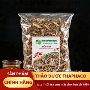 Cây Dền Gai Khô Chất Lượng Cao, Giá Tốt | Mua Ngay Tại THAPHACO