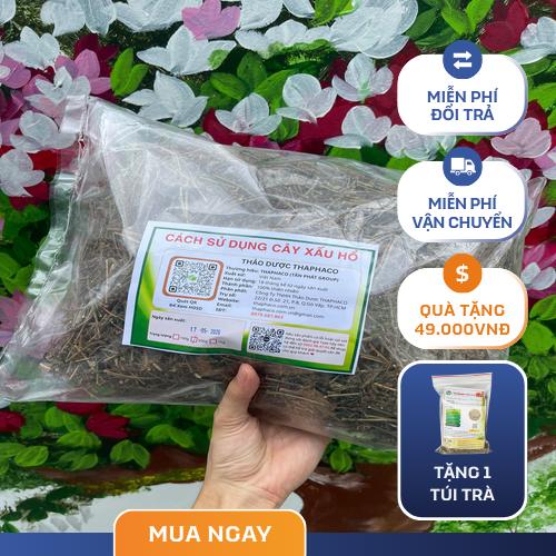 Sơ chế cây xấu hổ khô