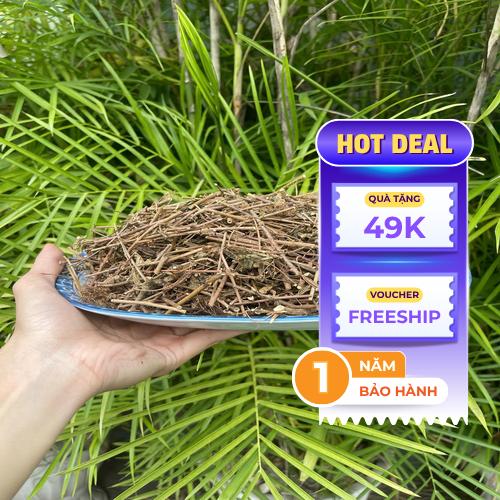 Sản phẩm cây xấu hổ đóng gói