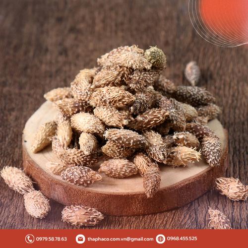 Lưu ý khi dùng ké đầu ngựa cho các đối tượng đặc biệt