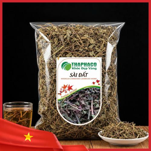 Toàn cảnh cây sài đất mọc tự nhiên