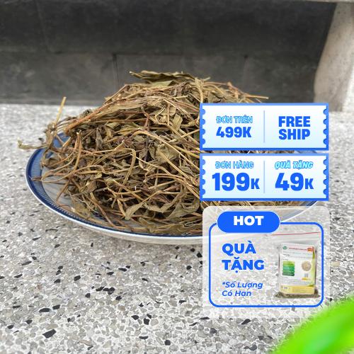 Sản phẩm sài đất khô đóng gói sẵn sàng sử dụng
